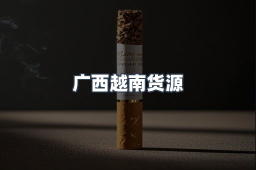 广西越南货源